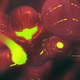 Illustration for article titled The Spectacular Story Of emMetroid/em, One Of Gamings Richest Universes
